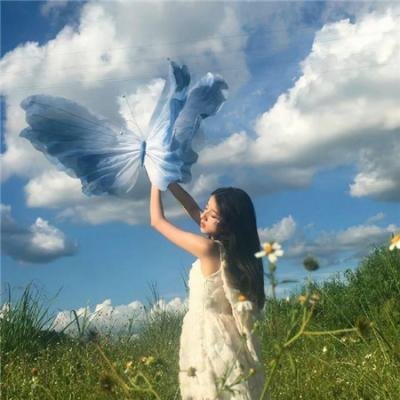 鲨鱼湖泊